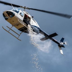 Marshmellow Drop -2500px-61.jpg