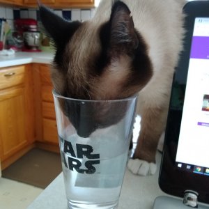 Sherlock drinking out of half full glass.jpg