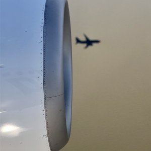 IMG_0805.JPG