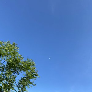 IMG_0086.jpg
