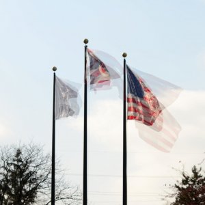 Flag-08.jpg