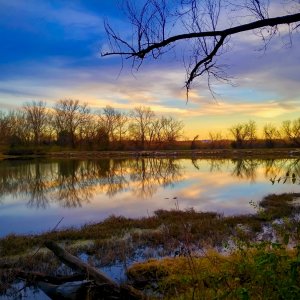 20151207_163933_HDR (1).jpg