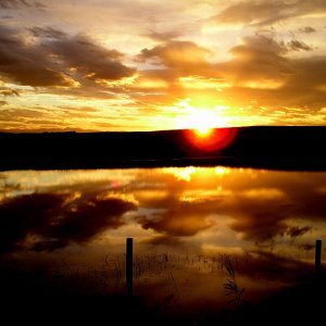 05_639Sunset22X.jpg
