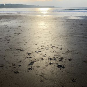 PORTRUSH - 01.03.2021_7.JPG