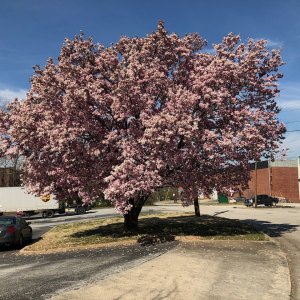 IMG_7055.jpeg