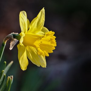 P1011339.jpg
