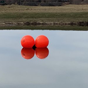 Galloway Road Sports complex - pond with orange balls.jpeg