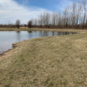 Galloway Road Sports complex - pond and nearby woods.jpeg