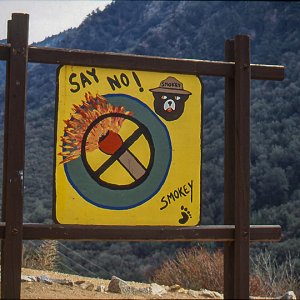 Smokey CA 1991.jpg