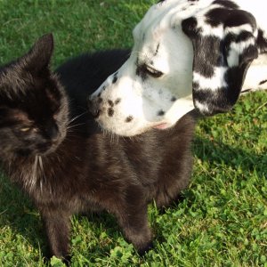 Dolly & Blue.JPG
