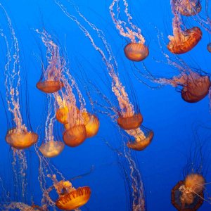 IMG_9871.jpg
