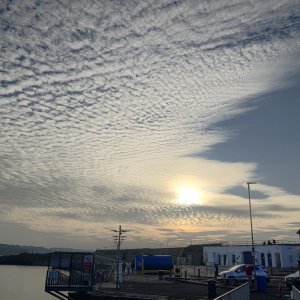 PORTRUSH - 01.03.2021_12.JPG