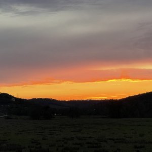 IMG_3563.jpeg