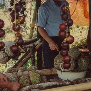 Fruit market 1990.jpg
