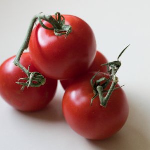 Tomatoes1.jpeg