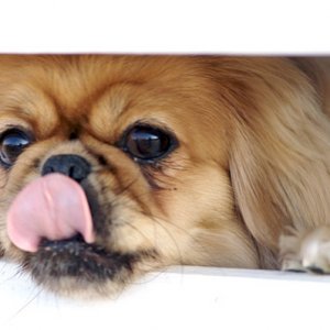Slurrrrrrp.jpg
