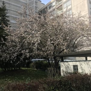 IMG_4485.jpeg