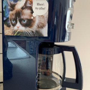Grumpy Cat coffee maker.jpeg