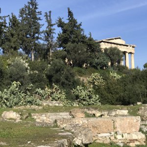 IMG_3843.jpeg
