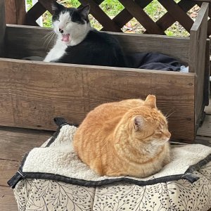 IMG_1130.jpeg