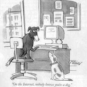 dog40.jpg