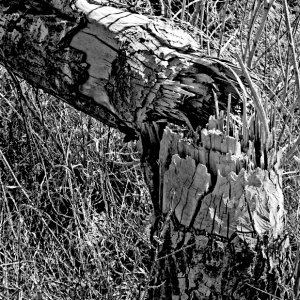 21_0073a.jpg