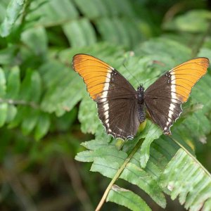 IMG_1413.jpg