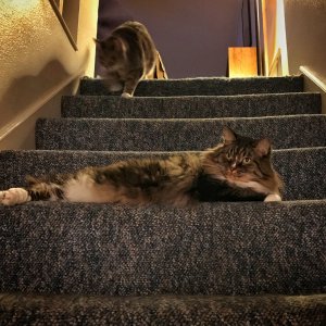 IMG_7039.jpeg