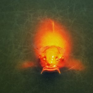 D9E591E0-3A59-4F35-AB42-44AA5281C68E.jpeg