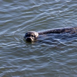 IMG_5816.jpg