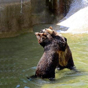 Zoo - 09 resize.jpg