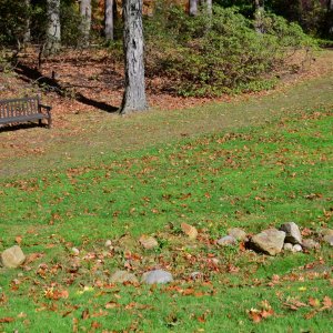 Holden bench-4 resize.jpg
