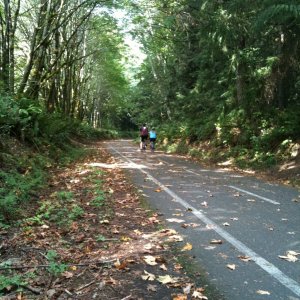 Trail.JPG