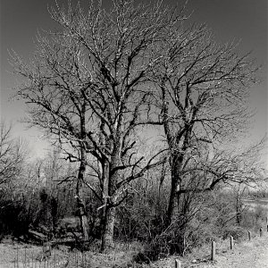 21_0068bw.jpg