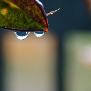 5700305A-C429-4147-9022-C518B8025D9C.jpeg