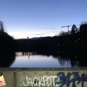 IMG_4503.jpeg