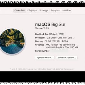 Screenshot 2021-03-25 at 12.13.27 PM.png