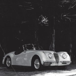 1951 XK120.jpg