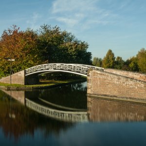 DSC_0655.jpg
