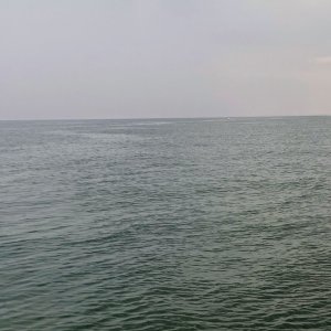 A987574D-A0AE-41DB-9DD9-BDE1F2FBE77F.jpeg