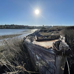 IMG_0630.jpeg