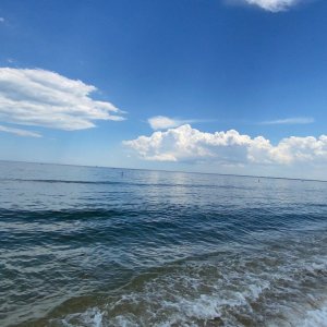 E66CBD2D-B73E-4C24-AA02-6E78D45470B9.jpeg