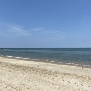 0A1F84CF-D570-4AD2-B00D-BE2392951EC7.jpeg