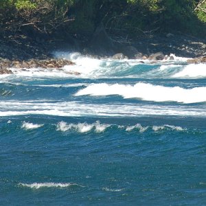 water's edge 2.jpg