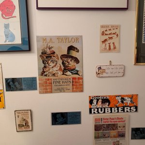 Bathroom wall with cat stuff.jpeg