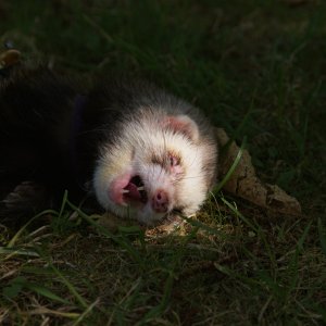 45E2C795-3DFB-4D23-A525-2EF38A87CF01.jpeg