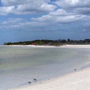 Honeymoon Island-1- 1500px.JPG