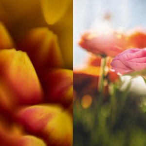 march diptych2.jpg