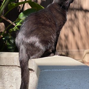IMG_1568.jpg