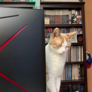 Sinclair next to back on monitor.jpeg